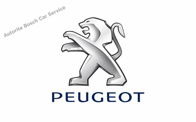 Maslak Peugeot Servisi