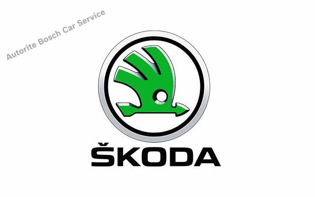 Maslak Skoda Servisi